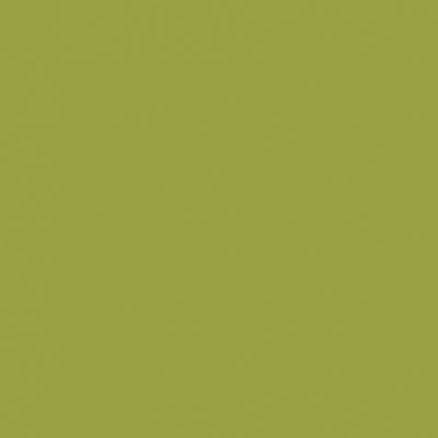 Silhouette Cardstock Leaf Green