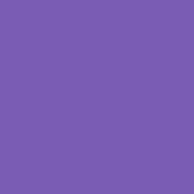 Epson T53LD00 violet 